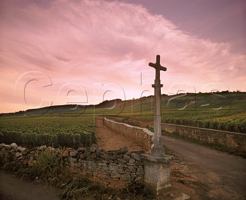 Cross at corner of Les Jarolires vineyard with RugiensBas on right Pommard Cte dOr France  Cte de Beaune Premier Cru