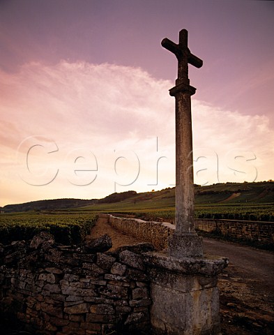 Cross between Les RugiensBas vineyard right and   Les Jarolires left     Pommard Cte dOr   France     Cte de Beaune Premier Cru