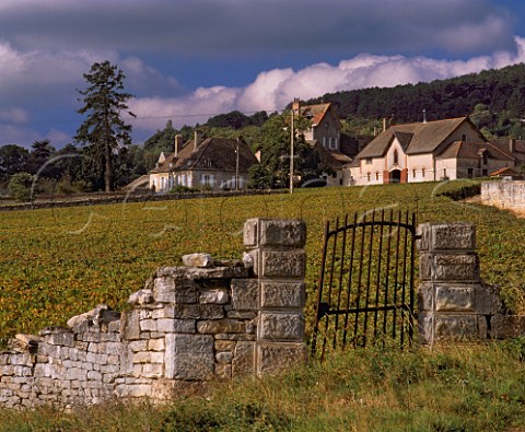 Volnay viewed over Les Angles vineyard  Cte dOr France Cte de Beaune Premier Cru