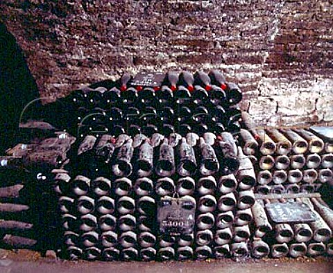 Bottles ageing in the cellars of Patriarche   Pre et Fils Beaune Cte dOr France