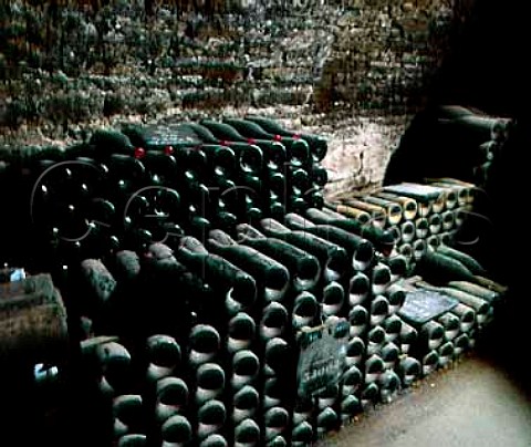 Bottles in the cellars of Patriarche Pere et Fils   Beaune Cote dOr France
