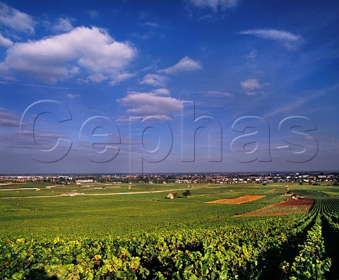Beaune viewed from the northwest over Les Avaux vineyard  Cte dOr France  Cte de Beaune Premier Cru