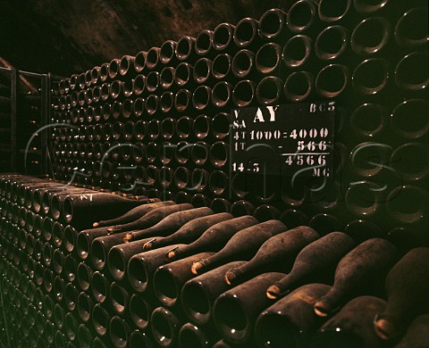 Magnums of champagne maturing sur lattes in a cellar of Bollinger Ay Marne France