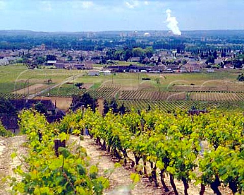 Vineyards above StNicolasdeBourgueil with the nuclear power station of Chinon on the River Loire in the distance   IndreetLoire France  StNicolasdeBourgueil