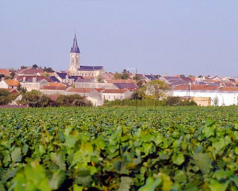 The village of Bouzy Champagne and Bouzy Rouge
