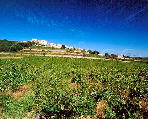 Caussiniojouls village and vineyards Hrault   France    AC Faugres