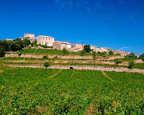 Caussiniojouls village above terraced vineyards   Hrault France       AC Faugres