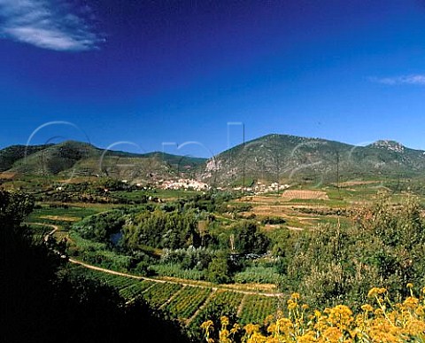 Village and vineyards of Roquebrun in the  Orb valley Hrault France   AC StChinian