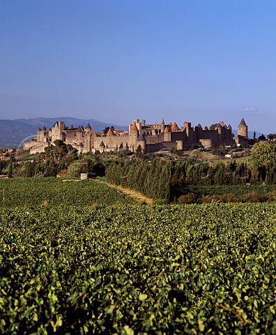 View over vineyards to La Cit the old town of  Carcassonne Aude France AC Malepre
