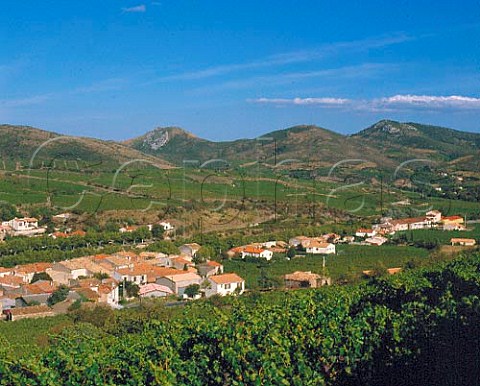 Vineyards around village of CascasteldesCorbires   with the cooperative winery on the far right  Aude France     AC Fitou