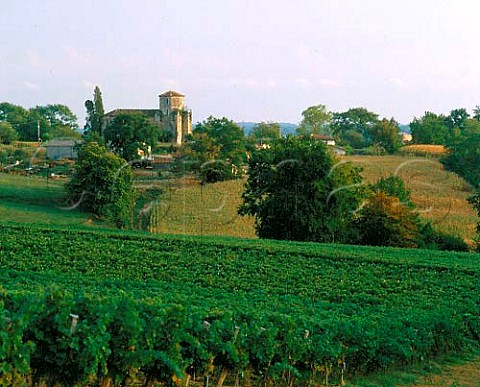 Eglise StChristau viewed over vineyard   near Cazaubon Gers France AC BasArmagnac