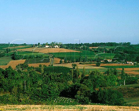 Vineyards near Montral Gers France  AC Armagnac