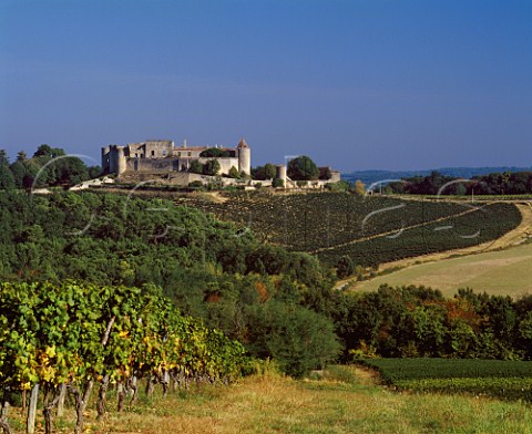 Vineyards around Chteau Benauge near Escoussans Gironde France EntreDeuxMersHautBenauge  Bordeaux