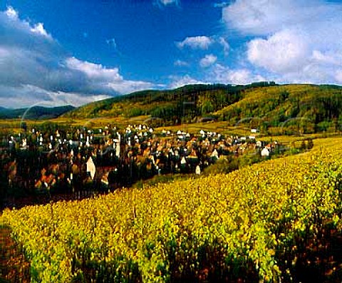 Riquewihr viewed from the Grand Cru Schoenenbourg   vineyard in autumn HautRhin France      Alsace