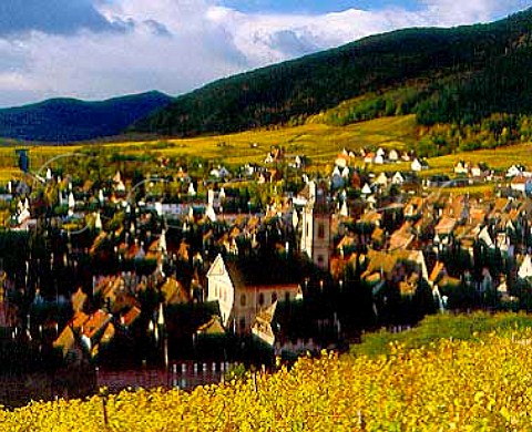 Riquewihr viewed from the Schoenenbourg Vineyard in   autumn HautRhin France     Alsace