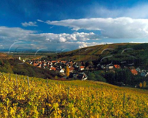 Village of Katzenthal viewed from the Grand Cru   WineckSchlossberg vineyard   HautRhin France    Alsace