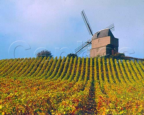 The windmill at Verzenay on the Montagne de Reims    Champagne