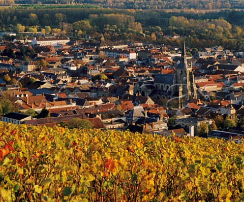 Autumnal Pinot Noir vineyard on the southern slopes of the Montagne de Reims  above Ay and the Marne Valley Marne France Champagne