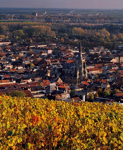Autumnal Pinot Noir vineyard above Ay and the Marne Valley Marne France Champagne