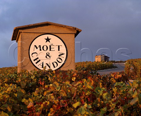 Mot  Chandon shelter in vineyard at Ay Marne France   Champagne