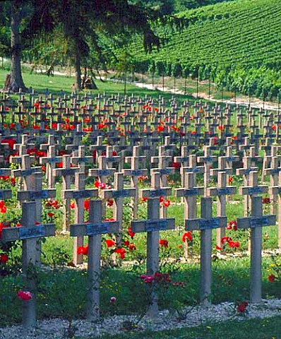 War cemetery amidst the vineyards on the Montagne de Reims at VillersMarmery   Marne France   Champagne