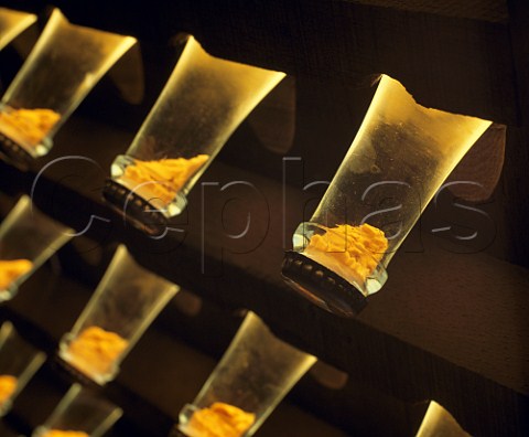 The necks of bottles of Cristal champagne in a  pupitre with the sediment collected in the  caps  Louis Roederer Reims Marne France
