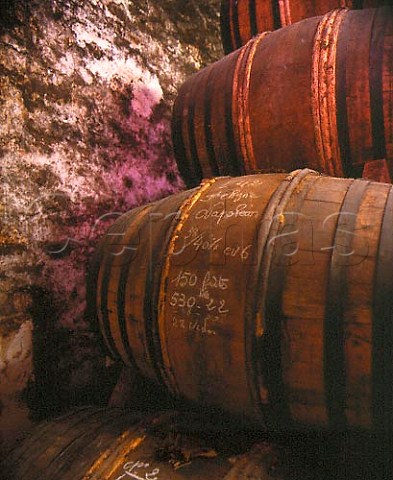 Cognac from the Grande Champagne area ageing in   barrels in one of the warehouses of Courvoisier   Jarnac Charente France