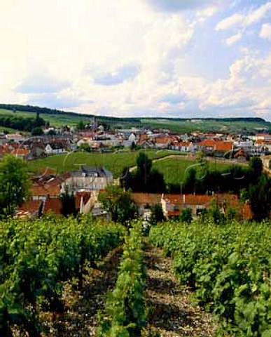 The village of Le MesnilsurOger surrounds the   small walled vineyard of Clos du Mesnil Owned by   Krug the clos is planted solely with Chardonnay and   makes the worlds most expensive champagne   Marne   France