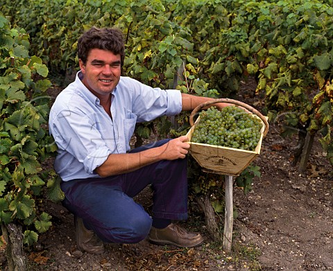 Olivier Bernard with basket of harvested Semillon   grapes Domaine de Chevalier Lognan Gironde   France  PessacLognan  Bordeaux
