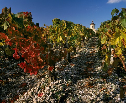 Gravel soil of vineyard at Chteau Cos dEstournel StEstphe Gironde France  Mdoc  Bordeaux