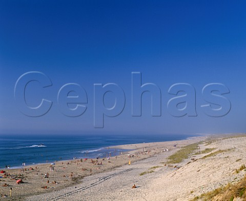 Beach on the Atlantic Ocean at BiscarrossePlage where nudity is commonplace  Landes France