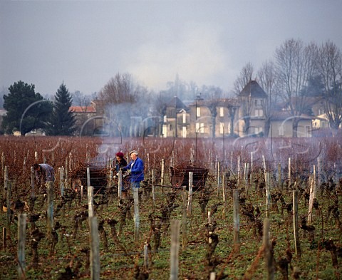 Winter pruning in vineyard of Chteau FrancMayne with Chteau Clos des Jacobins beyond Stmilion Gironde France  Saintmilion  Bordeaux