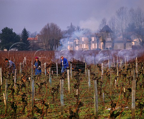 Winter pruning in vineyard of Chteau FrancMayne with Chteau Clos des Jacobins beyond Stmilion Gironde France Saintmilion  Bordeaux