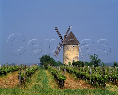 Moulin du HautBenauge in the vineyards near  Gornac Gironde France   EntreDeuxMersHautBenauge  Bordeaux