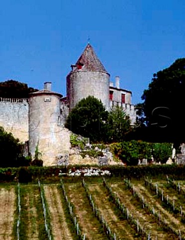 Chteau Benauge near Escoussans Gironde France   EntreDeuxMersHautBenauge  Bordeaux