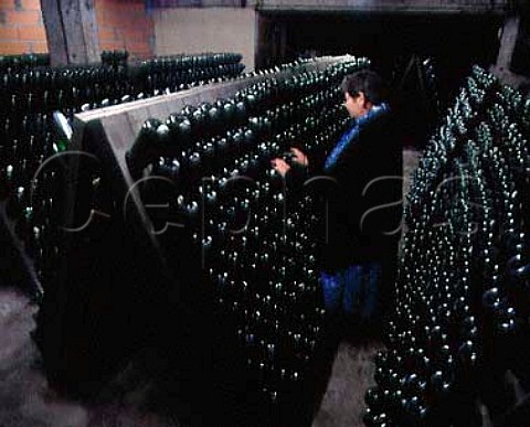 Blanquette de Limoux in pupitres in the cellars of Jean Babou at Limoux Mme Yvonne Pitie who worked here for 30 years turns 50000 bottles a day Aude France