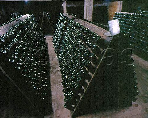 Blanquette de Limoux in pupitres in the cellars of   Jean Babou Limoux Aude France