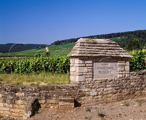 Sign of Domaine Jacques Prieur in wall of Les Petits Musigny vineyard ChambolleMusigny Cote de Nuits