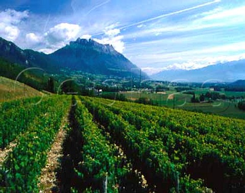 Vineyards of StJeandelaPorte with the Dent dArclusaz beyond Savoie Vin de SavoieStJean de la Porte
