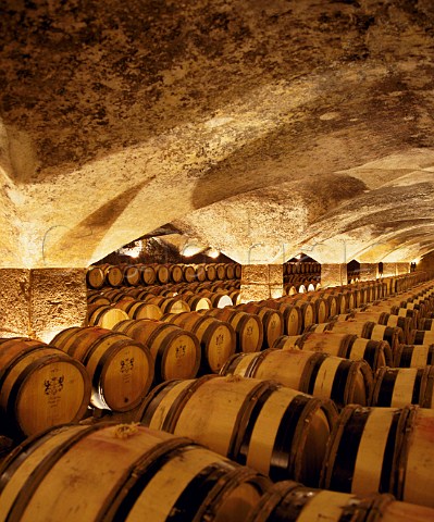 Barrels of wine ageing in the magnificent cellar of   the Chteau de Meursault Meursault Cte dOr France  Cte de Beaune