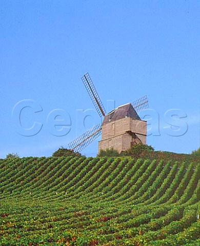 The Moulin de Verzenay on the Montagne de Reims owned by Champagne Mumm  Marne France