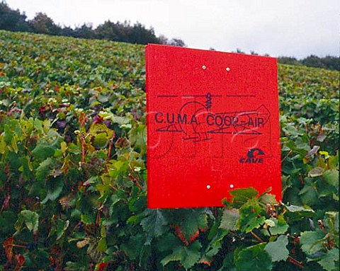 Helicopter marker board in vineyard Visible   from the air it ensures that the pilot sprays the   correct parcel of vines   Ay Marne France  Champagne