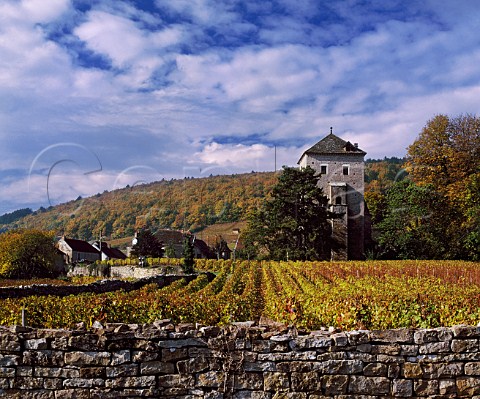 Autumnal Pinot Noir vineyard of Chteau de  GevreyChambertin Cte dOr France   Cte de Nuits