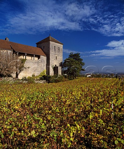 Chteau de GevreyChambertin and autumnal Pinot Noir vineyard Cte dOr FranceCte de Nuits