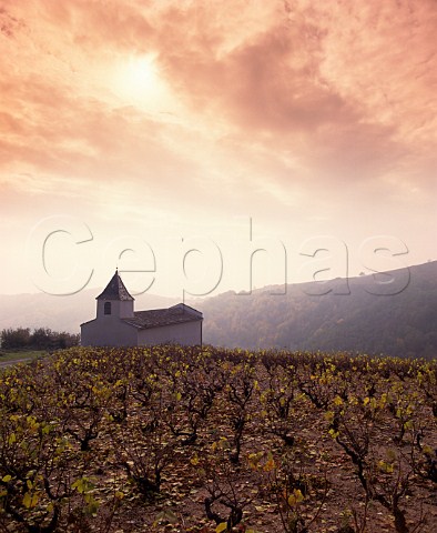 The chapel of StRoch in the vineyards on the slopes   of the Beaujolais Mountains in the commune of   Chiroubles Rhne France    Chiroubles  Beaujolais