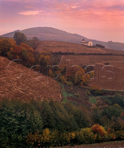 Chapelle SaintRoch and vineyards high on the slopes of the Beaujolais Mountains at dusk Chiroubles France  Chiroubles  Beaujolais
