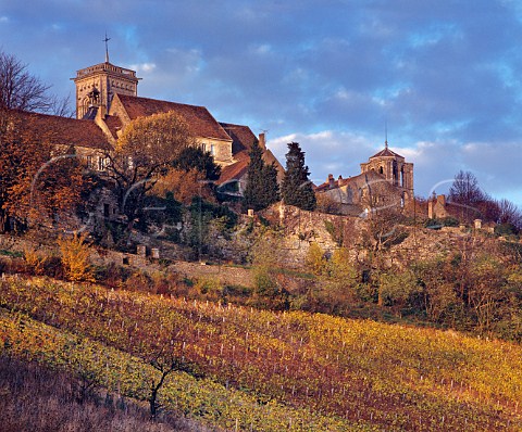 Autumnal vineyard below the hilltop town of Vzelay and its Basilique SainteMarieMadeleine Yonne France  Bourgogne Vzelay