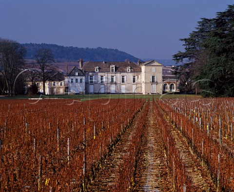 Chteau de Meursault viewed over its Chardonnay vineyard in late autumn   Meursault Cte dOr France Cte de Beaune