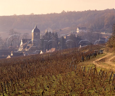 Village and church of ChambolleMusigny viewed over   vineyard in early winter Cte dOr France   Cte de Nuits