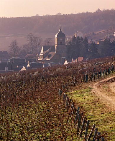 Village and church of ChambolleMusigny viewed over vineyard in the late autumn   Cte dOr France Cte de Nuits